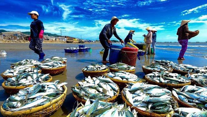Vi phạm quy định về xuất khẩu giống thủy sản