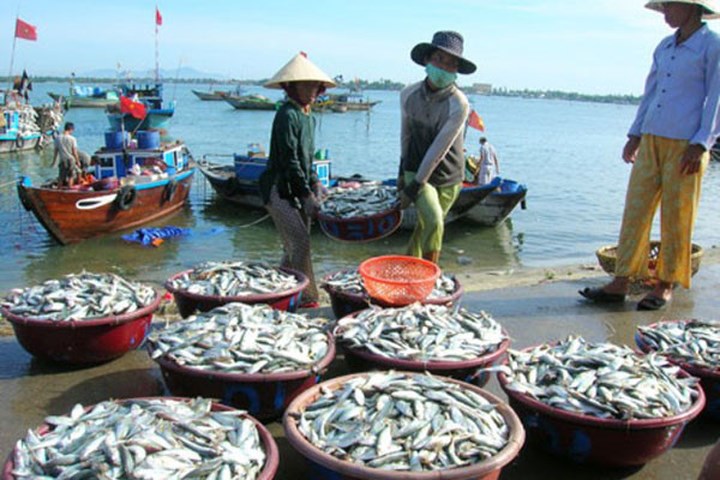 Nguyên tắc thực hiện bảo hiểm về chính sách phát triển thủy sản