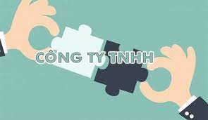 Bảo toàn vốn của Công ty TNHH một thành viên Mua bán nợ Việt Nam được quy định ra sao?
