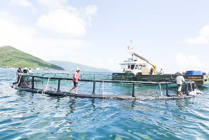 Quy định về cấp lại và thu hồi Giấy phép nuôi trồng thủy sản trên biển?