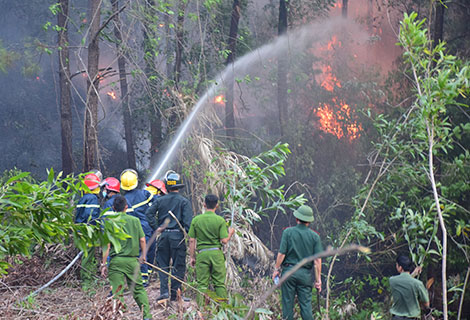 Thẩm quyền huy động lực lượng, phương tiện chữa cháy rừng