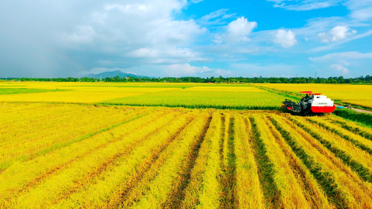Hạn mức giao đất nông nghiệp được quy định như thế nào theo Luật đất đai 1993?