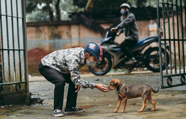 Nạn trộm chó: Hãy xem những hình ảnh đáng sợ và cảm động liên quan đến nạn trộm chó để hiểu rõ hơn về tình trạng này cũng như cách chúng ta có thể giúp đỡ và bảo vệ những vật nuôi yêu quý của mình.