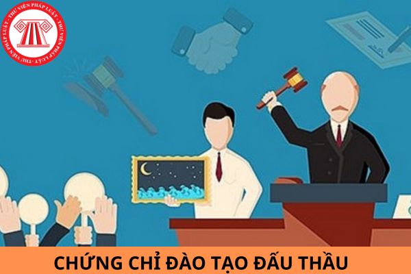 Chứng chỉ đào tạo đấu thầu còn sử dụng được không? Có làm thành viên tổ thẩm định, tổ chuyên gia được không? 