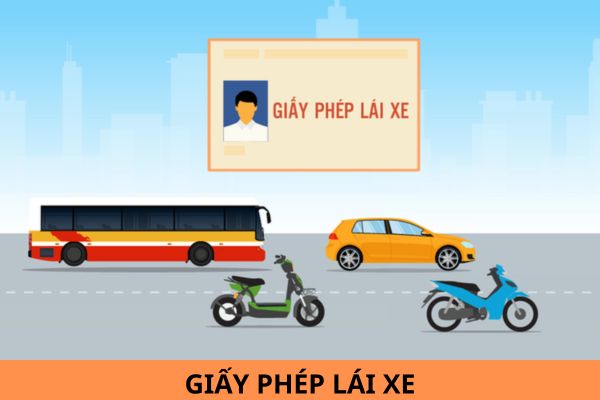 Từ ngày 01/01/2025, các loại giấy phép lái xe nào không thời hạn?