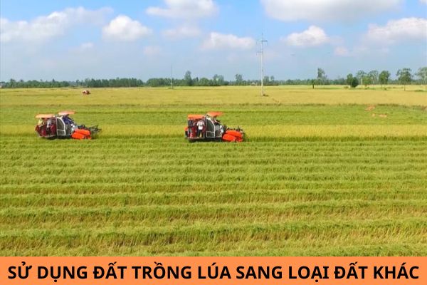 Từ ngày 04/10/2024, mức phạt đối với hành vi sử dụng đất trồng lúa sang loại đất khác mà không được cơ quan Nhà nước có thẩm quyền cho phép là bao nhiêu?