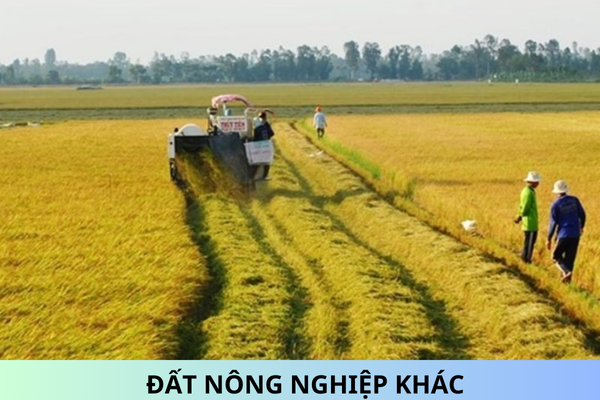 Đất nông nghiệp khác là các loại đất nào? Chuyển mục đích sử dụng đất nông nghiệp có cần xin phép cơ quan nhà nước có thẩm quyền không?