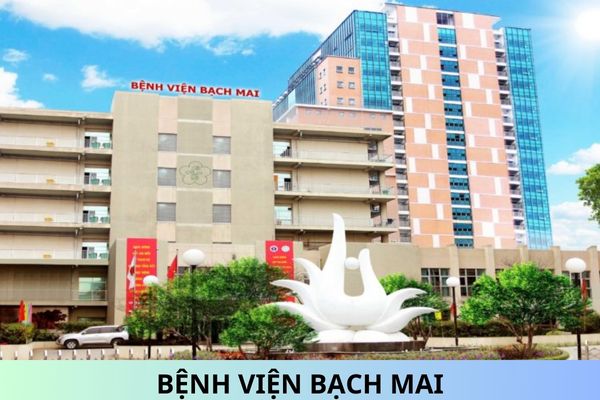 Price  List  for  Medical  Examination  and  Treatment  Services  at  Bach  Mai  Hospital  Applicable  from  November  1,  2024?