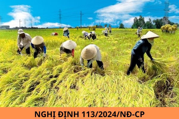 Đã có Nghị định 113/2024/NĐ-CP hướng dẫn Luật Hợp tác xã?