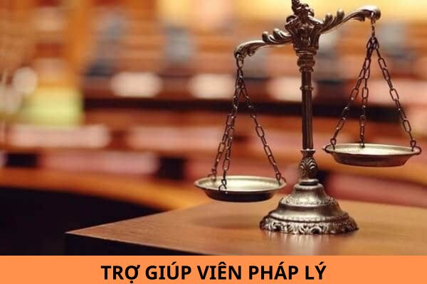 Từ ngày 01/11/2024, tiêu chuẩn, điều kiện đăng ký dự xét thăng hạng chức danh nghề nghiệp viên chức trợ giúp viên pháp lý hạng 2 thế nào?