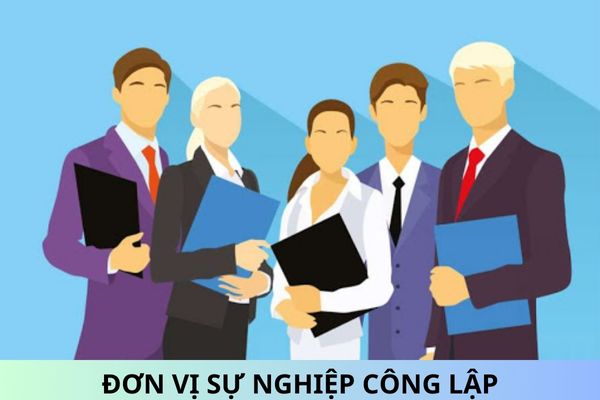 Circular 11/2024/TT-BLDTBXH guiding the classification of certain types of public service providers in the fields of labor, people with merit, and social affairs?