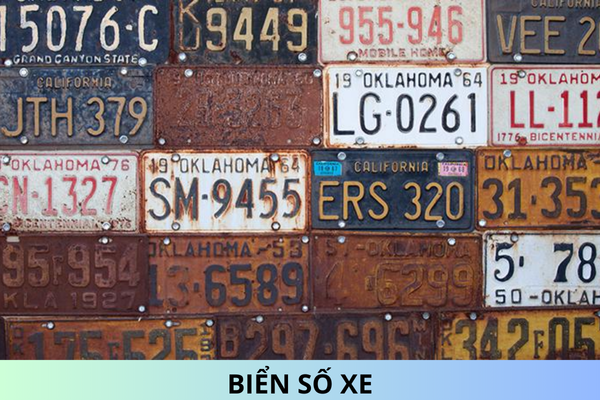 Which province does license plate number 31 belong to? Who is issued with license plates with red letters?