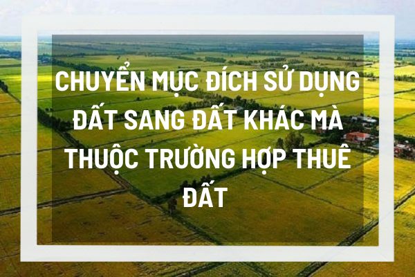 thuviennhadat.vn