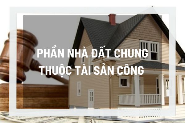 thuviennhadat.vn