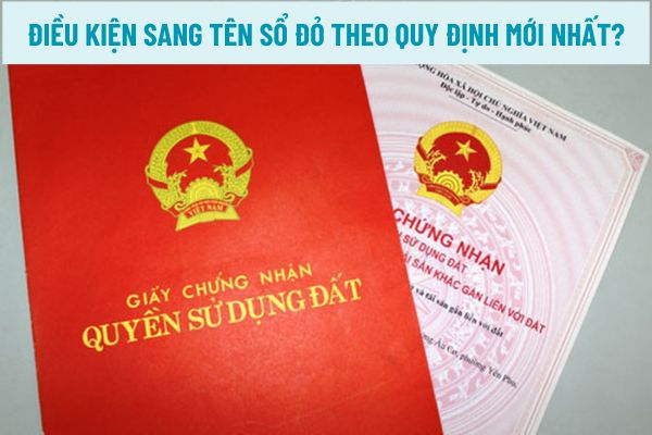 thuviennhadat.vn