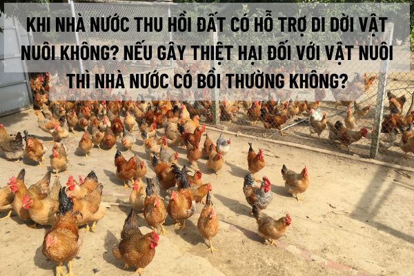 thuviennhadat.vn