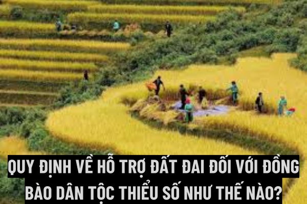 thuviennhadat.vn