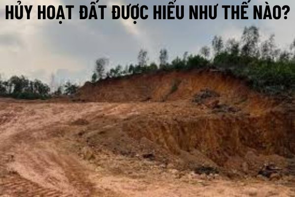 thuviennhadat.vn