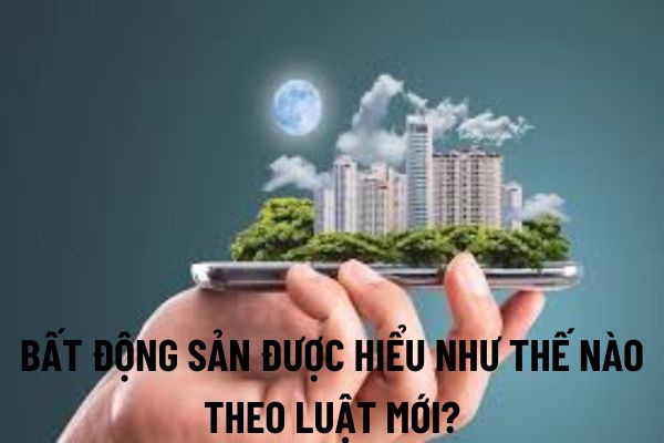 thuviennhadat.vn