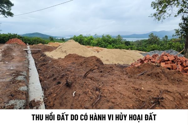 thuviennhadat.vn