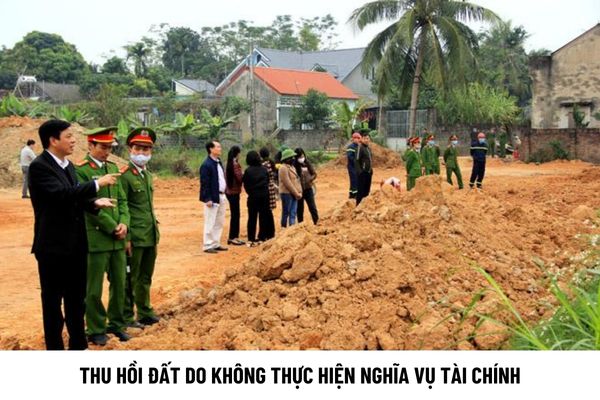 thuviennhadat.vn