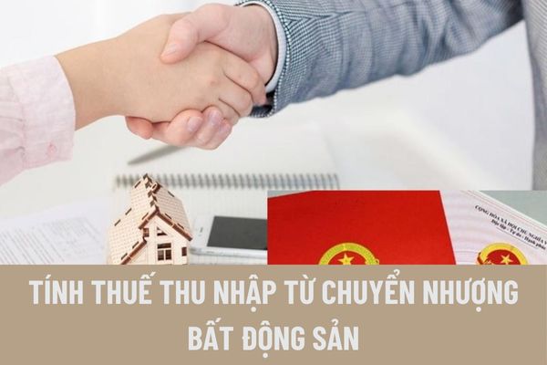 thuviennhadat.vn