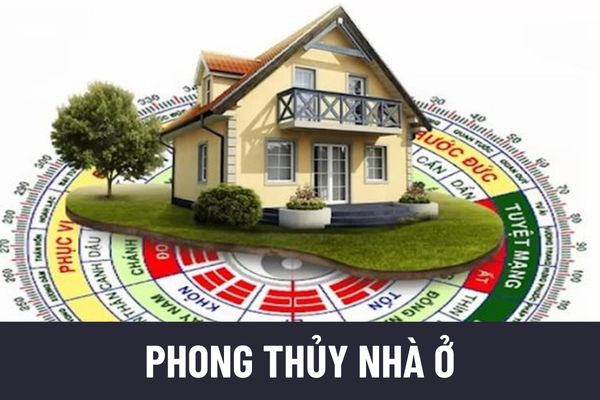 thuviennhadat.vn