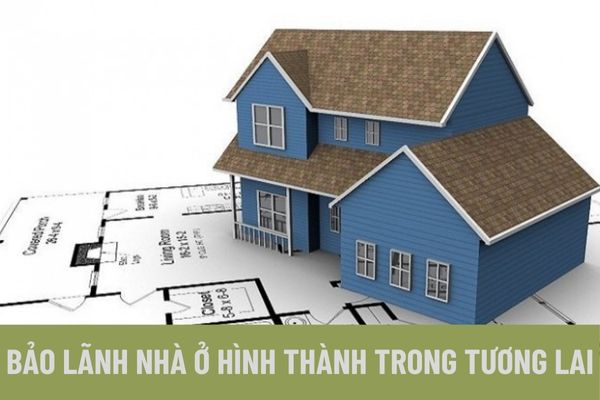 thuviennhadat.vn