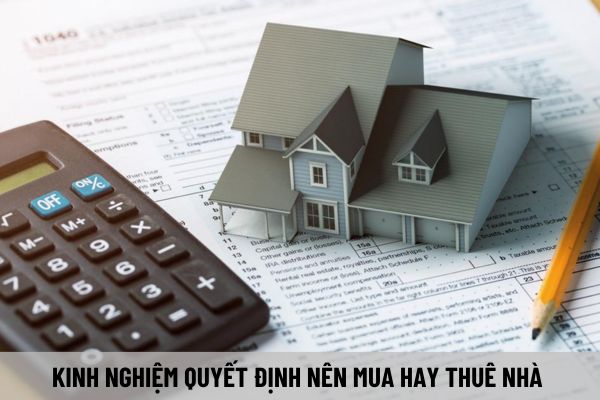 thuviennhadat.vn