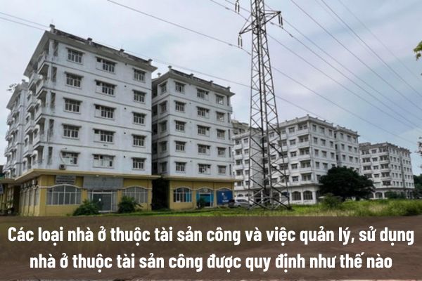 thuviennhadat.vn