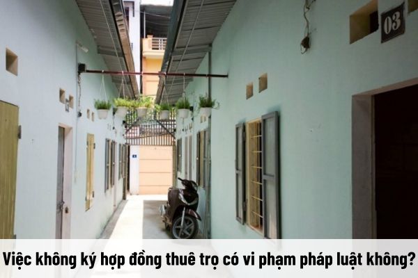 thuviennhadat.vn