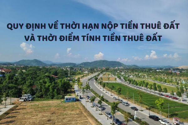 thuviennhadat.vn