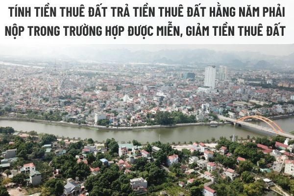 thuviennhadat.vn