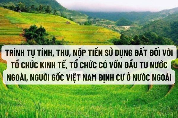 thuviennhadat.vn