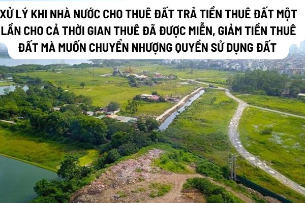 thuviennhadat.vn