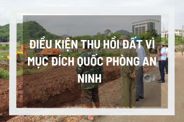 thuviennhadat.vn