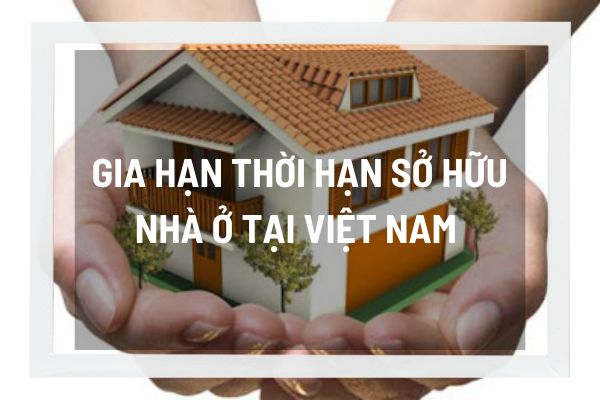 thuviennhadat.vn