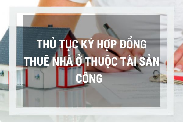 thuviennhadat.vn