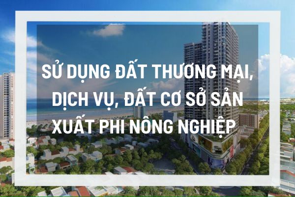 thuviennhadat.vn