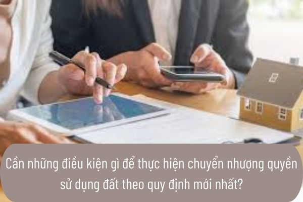 thuviennhadat.vn