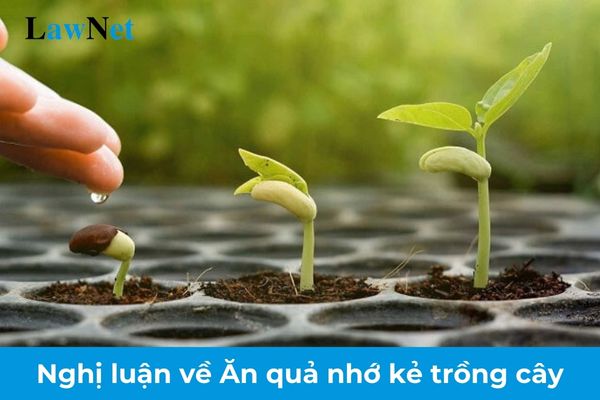 Mẫu bài văn nghị luận về Ăn quả nhớ kẻ trồng cây lớp 9? Hồ sơ dự xét công nhận tốt nghiệp THCS của học sinh lớp 9?