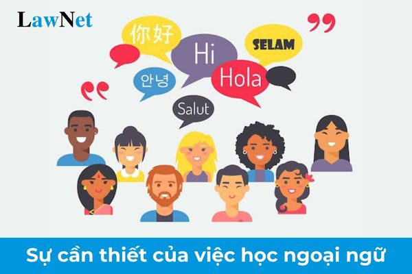 Mẫu bài văn nghị luận về sự cần thiết của việc học ngoại ngữ lớp 11? Học sinh lớp 11 được chuyển từ trường tư thục sang trường công lập khi nào?