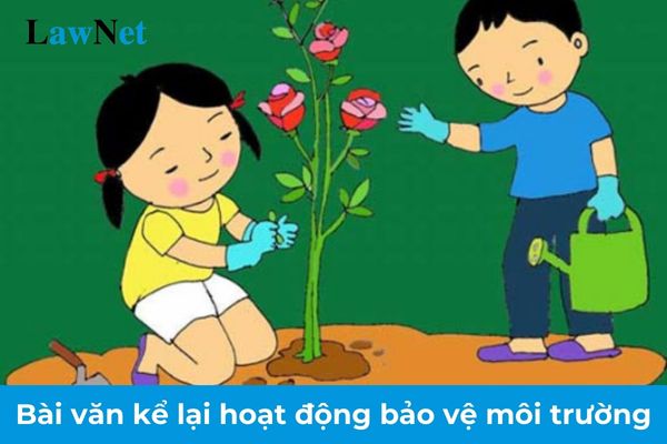 Mẫu bài văn kể lại hoạt động bảo vệ môi trường lớp 8? Tham gia hoạt động bảo vệ môi trường có phải là nhiệm vụ của học sinh lớp 8?