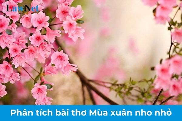 Mẫu phân tích bài thơ Mùa xuân nho nhỏ lớp 9? Hình thức đánh giá đối với các môn học của học sinh lớp 9?