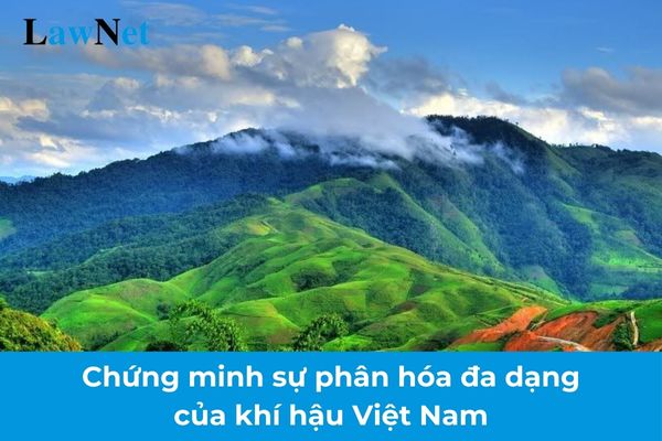 Chứng minh sự phân hóa đa dạng của khí hậu Việt Nam lớp 8? Nội dung đặc điểm khí hậu và thủy văn Việt Nam mà học sinh lớp 8 được học?