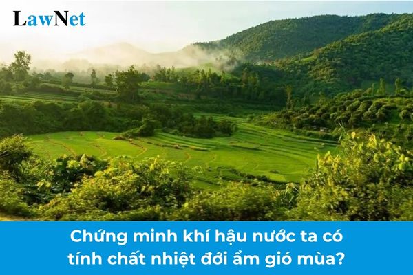 Chứng minh khí hậu nước ta có tính chất nhiệt đới ẩm gió mùa? Số lượng phòng học tối thiểu trong trường THCS?