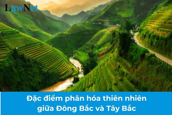 Trình bày điểm lưu ý phân hóa vạn vật thiên nhiên thân ái Đông Bắc và Tây Bắc? Yêu cầu cần thiết đạt vô nội dung trung du và miền núi Bắc Sở lớp 9?