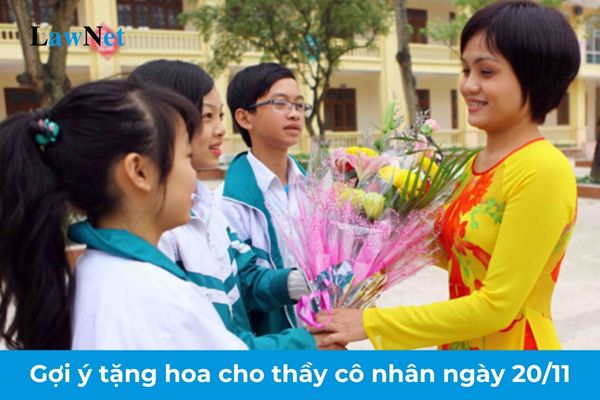 Gợi ý tặng hoa cho thầy cô nhân ngày 20 11? Mục tiêu của các hoạt động giáo dục ở trường tiểu học?