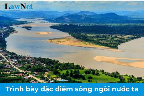 Trình bày đặc điểm sông ngòi nước ta? Tiêu chuẩn của Hiệu trưởng trường trung học cơ sở là gì?