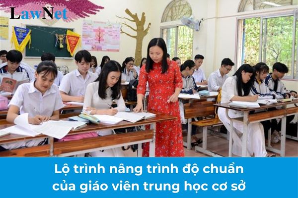 Lộ trình nâng trình độ chuẩn của giáo viên trung học cơ sở được quy định thế nào?